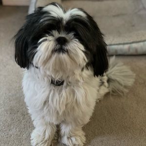 Meet your Posher, Jaime